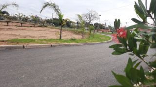 Segunda-feira terá sol e temperaturas amenas no RS