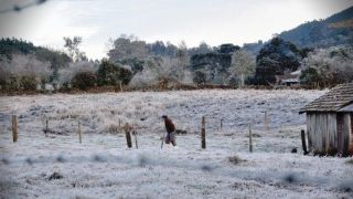 Estado deve registrar frio intenso e temperaturas abaixo de zero nesta terça-feira