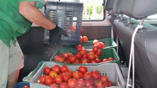 Cresce número de instituições e famílias beneficiadas pelo Banco de Alimentos da Ceasa