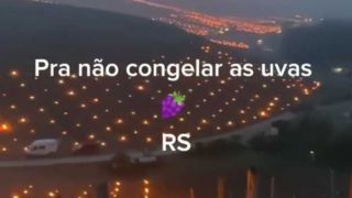 Vídeo de fogo em tambores para proteger parreiral de geada não é do Rio Grande do Sul
