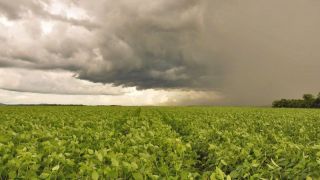 Rio Grande do Sul terá temperaturas amenas e pancadas de chuva nos próximos dias