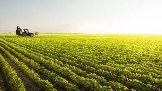 Exportações do agronegócio gaúcho registram alta de 42% no segundo trimestre de 2021