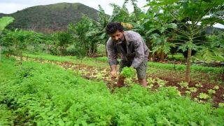 Pronaf: Mapa vai substituir DAP por novo cadastro de agricultores familiares