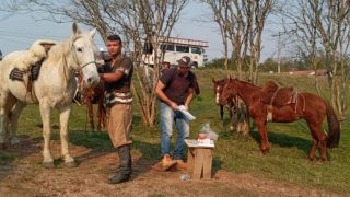 Com apoio da Secretaria de Desenvolvimento Econômico, Agricultura e Pecuária exames de morno e anemia estão sendo feitos em Dom Feliciano 