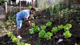 EJR - Escola de Jovens Rurais, realizou a primeira venda de produtos orgânicos.