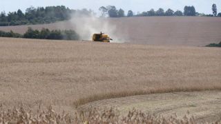 Parceria da Agricultura fará teste em solos para determinar produtividade da soja no Rio Grande do Sul
