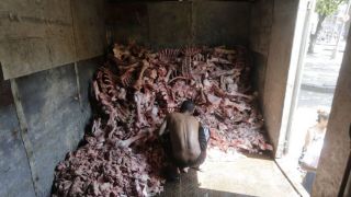 Garimpo contra a fome: sem comida, moradores do Rio recorrem a restos de ossos e carne rejeitados por supermercados