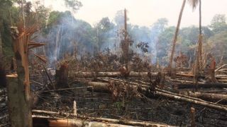 Aquecimento pode expor 12 milhões de brasileiros a nível intolerável de calor