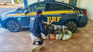 Traficante é preso com aproximadamente 200 quilos de maconha