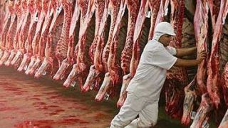 Parte da carne do Brasil enviada à China segue parada em portos após 7 semanas de suspensão do comércio
