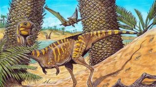 Museu Nacional anuncia a descoberta de nova espécie brasileira de dinossauro