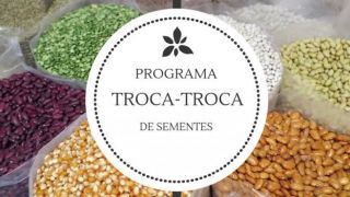 Continua a distribuição de sementes do Programa “Troca-troca” em Dom Feliciano