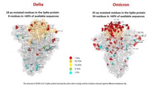 Primeira imagem da variante ômicron revela mais que o dobro de mutações que a delta