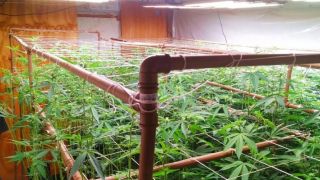Operação contra tráfico de drogas através das redes sociais é realizada no RS
