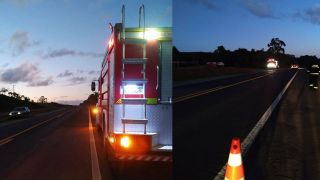 Bombeiros de Tapes retiram gado da pista da BR-116