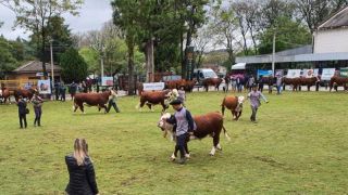  Seapdr altera prazo para declaração anual de animais e atualização cadastral de produtores