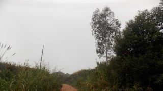 Prefeitura pretende reabrir a estrada da Costa da Luciana