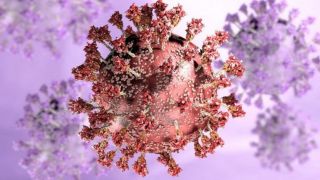 Variante ômicron do coronavírus é detectada em pelo menos 110 países