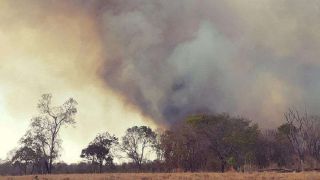 Ocorrências de incêndios aumentam com a seca em Encruzilhada do Sul 