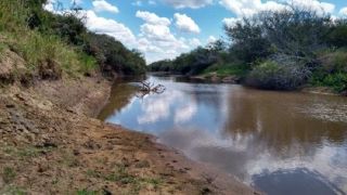 Com 96 municípios em situação de emergência, Rio Grande do Sul vai discutir ações contra a estiagem nesta segunda