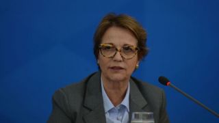 Ministra da Agricultura deve visitar o Rio Grande do Sul para vistoriar áreas atingidas pela estiagem