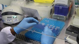Nova quarentena para pacientes com Covid durará de cinco a dez dias no Brasil