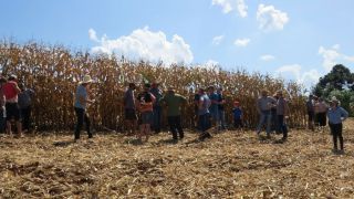 Produtor colhe mais de 200 sacas de milho em área irrigada