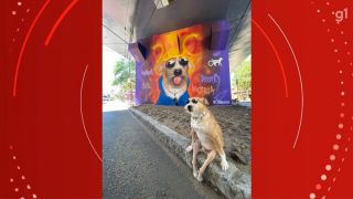 Cachorro paraplégico ganha mural em viaduto de Porto Alegre