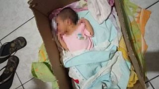 Mecânico ouve choro e resgata recém-nascida deixada em lixeira: ‘Quero adotá-la’