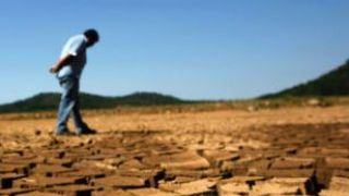 Ao menos 418 das 497 cidades gaúchas já decretaram situação de emergência por causa da falta de chuva