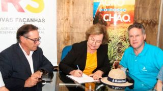 Banrisul lança linha de crédito para estocagem de oliva