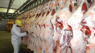 Rússia "suspende" importação de carne, alerta!