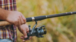 Projeto de Lei proíbe pesca de dourado por cinco anos no Brasil