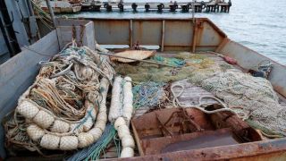 Governo gaúcho entra com ação na Justiça para impedir a pesca de arrasto no litoral do Estado