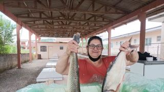 Aberta a feira do peixe de Dom Feliciano