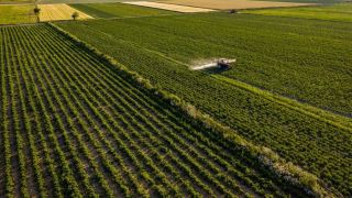 Valor Bruto da Produção Agropecuária deve chegar a R$ 1,227 trilhão em 2022