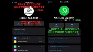 Novo golpe no WhatsApp: bandidos fingem ser do suporte do aplicativo