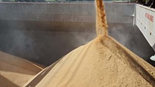 Confirmado o embarque de 30 mil toneladas de arroz em casca para o México