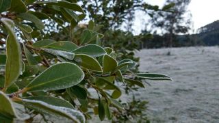 Ar polar deve trazer dias gelados ao Rio Grande do Sul