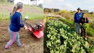 Projetos de estruturação social e produtiva valorizam e incentivam famílias rurais
