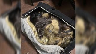 Polícia Civil recupera lote de mega hair furtado avaliado em R$ 300 mil