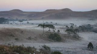 Ar frio traz mínimas baixas e geada ao Rio Grande do Sul