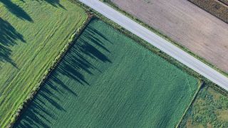 Começou ontem prazo para declarar imposto sobre propriedade rural