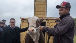 Expointer 2022 abre os portões para a chegada dos primeiros animais