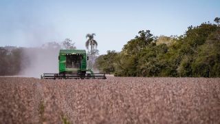 PLN abre crédito de R$ 2,5 milhões para apoiar pequenos e médios produtores rurais