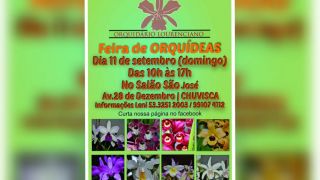Feira de Orquídeas irá acontecer em Chuvisca