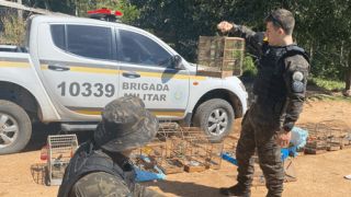 Mais de 50 animais em situação de maus-tratos são resgatados em Sertão Santana