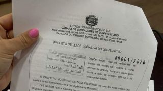 Projeto de Lei referente a normas de plantio de árvores de grande porte é rejeitado por maioria dos Vereadores em Dom Feliciano 
