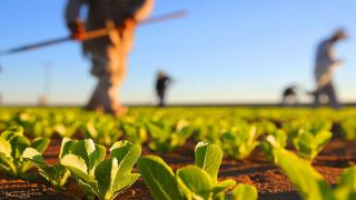 Agricultura receberá investimento de 300 mil reais através do PSDB