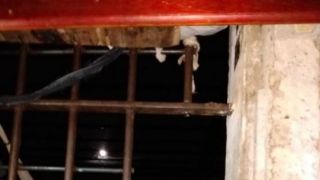 Agentes penitenciários impedem fuga de presos em dois presídios do RS nesta madrugada